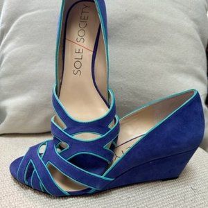 Sole Society Blue Suede Wedge Pump